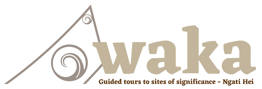 Whitianga Waka Tours
